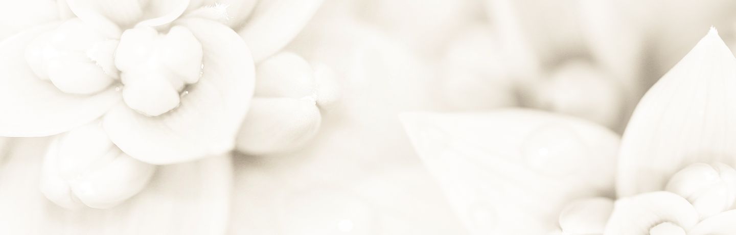 Grace Acupuncture and Wellness